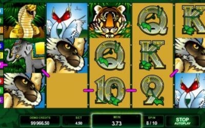 Microgaming-ohjelmisto parantaa edelleen online-rahapelien maailmaa