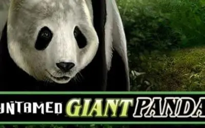 Play Untamed Giant Panda and Vinyl Countdown Slots Free with Wild Features, Free Spins, and Big Win Potential